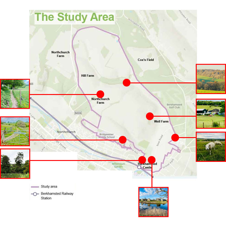 deer park map